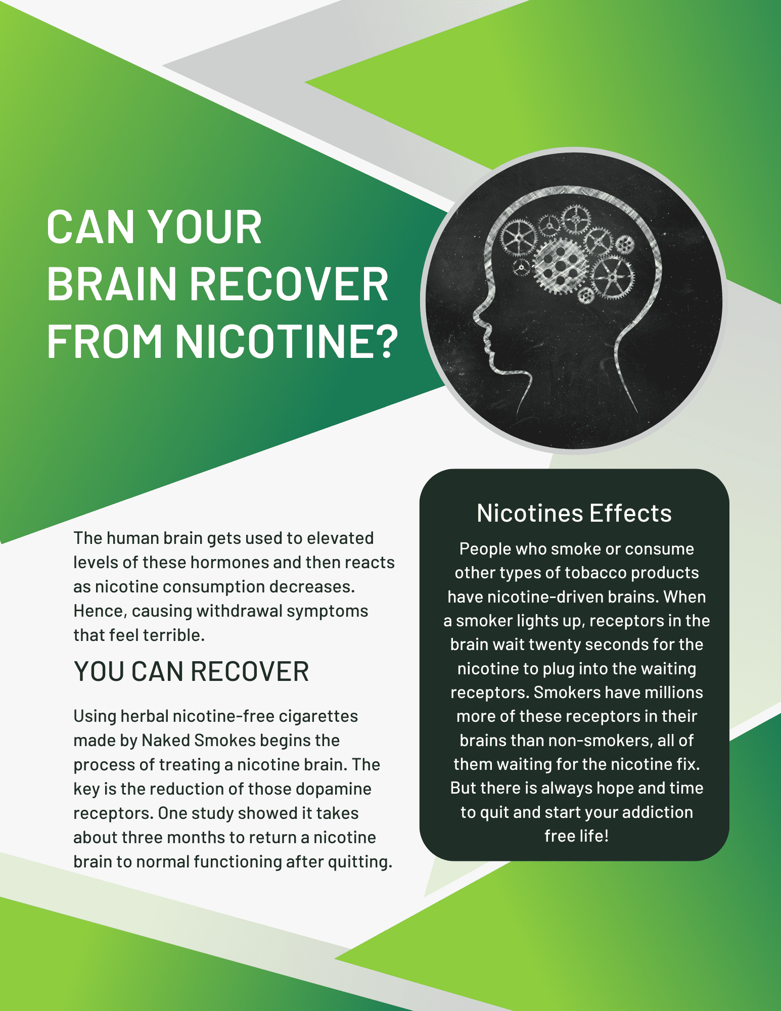 tobacco-free-cigarettes-can-your-brain-recover-from-nicotine